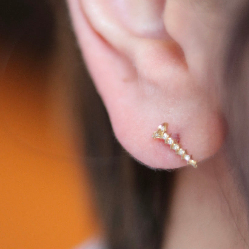 Diamond Screw Earring (Single)
