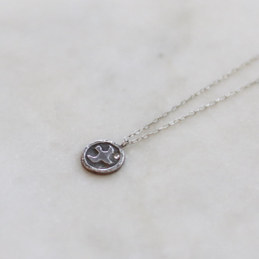 Bird Carrying a Diamond Coin Necklace