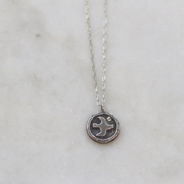 Bird Carrying a Diamond Coin Necklace