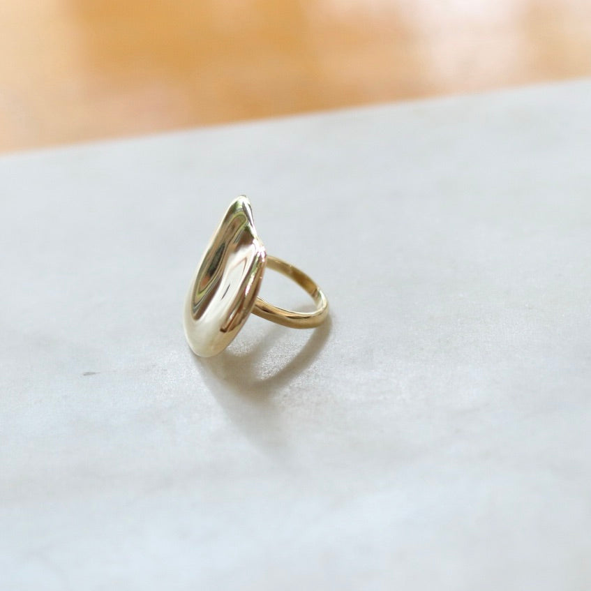 Bronze Big Dip Ring