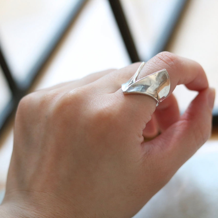Silver Sharp V Ring