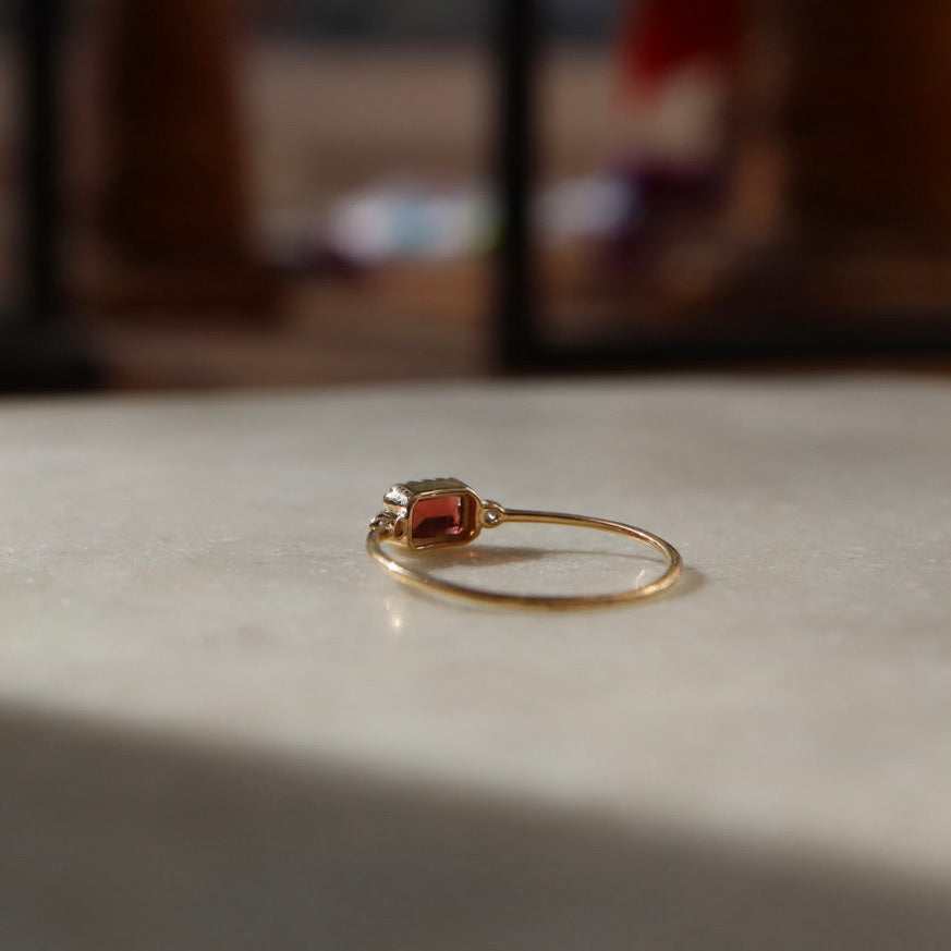 Garnet Treasure Ring
