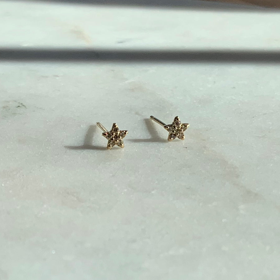 The First Star of the Night Diamond Earrings
